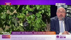 Mercosur: des perdants… mais aussi des gagnants 