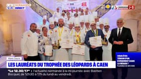 Caen: 3e édition du Trophée des Léopards