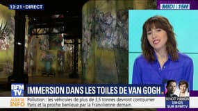 Immersion dans les toiles de Van Gogh