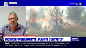 La cicatrice est vive à Barbentane, quinze jours après le feu du massif de la Montagnette"