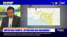 Météo des forêts: les Bouches-du-Rhône en risque incendie élevé