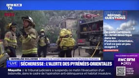 Pourquoi parle-t-on de sécheresse record dans les Pyrénées-Orientales cette année? BFMTV répond à vos questions  