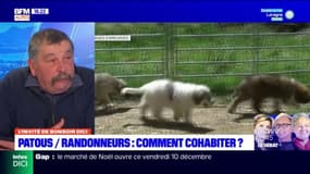 Problèmes avec les Patous dans les Hautes-Alpes:  René Laurans, président du syndicat agricole FDSEA 05, souhaiterait que les randonneurs "acceptent de se tenir éloignés des troupeaux"