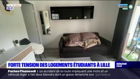 Lille: la galère pour trouver un logement étudiant