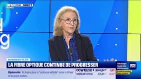 Laure de La Raudière (Arcep) : Télécoms, les investissements ralentissent - 30/05