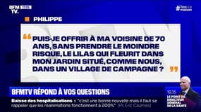 Puis-je offrir à ma voisine, sans risque, le lilas qui fleurit dans mon jardin ? BFMTV vous répond