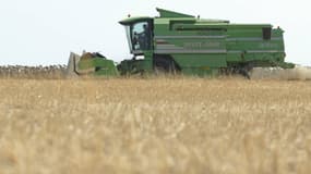Le réchauffement climatique pourrait, en réduisant la productivité agricole provoquer plus de 500.000 décès supplémentaires. (image d'illustration)