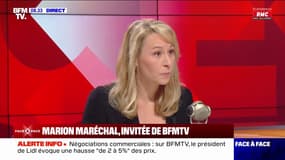 Colère des agriculteurs: "Je soutiens ces blocages, parce que malheureusement quand on ne bloque pas Paris, on n'est pas entendu" affirme Marion Maréchal