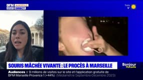 Marseille: le procès de l'étudiant qui a mâché une souris vivante se tient ce mercredi