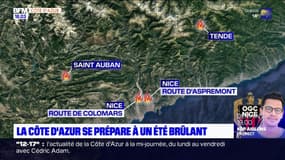 Incendies: la Côte d'Azur se prépare à un été brûlant