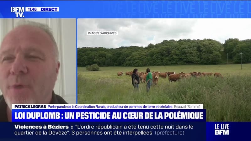 Pétition contre la loi Duplomb: 