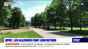Nord-Pas-de-Calais: les allergies font leur retour