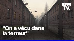 80 ans après la libération du camp d'Auschwitz, des rescapées racontent l'horreur 