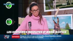A Bordeaux, un producteur lance un vin infusé au cannabis.