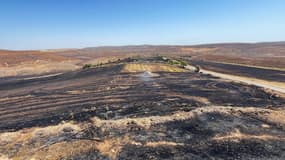 Un champ brûlé après qu'un incendie de forêt ait balayé deux zones situées entre les districts de Diyarbakir et de Mardin dans le sud-est de la Turquie, le 21 juin 2024.