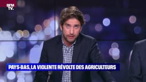 Enquête de Nelson : La violente révolte des agriculteurs au Pays-Bas - 07/07