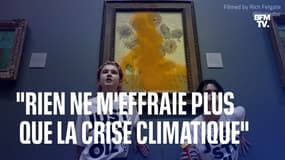 "Rien ne m'effraie plus que la crise climatique": Anna Holland, une des militantes qui a jeté de la soupe sur "Les Tournesols" de Van Gogh, témoigne