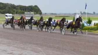 Les pronos hippiques du 23 novembre 2022