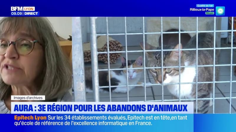 La région AURA est la 3e de France concernant les abandons d'animaux en 2025