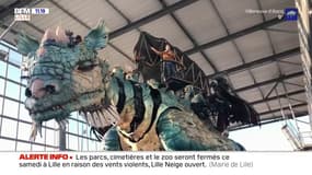 LES CH'TITES SORTIES : Grimpez sur le dos du Dragon de Calais !