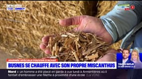 Pas-de-Calais: Busnes se chauffe avec son propre miscanthus