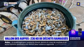 Marseille: 236 kilos de déchets ramassés dans le Vallon des Auffes
