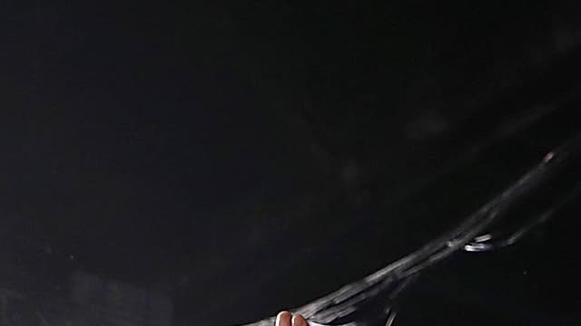 Visiblement ravi de retrouver une ambiance de campagne électorale, Barack Obama s'est jeté mardi dans la bataille en cours pour lui succéder à la Maison Blanche, louant les atouts d'Hillary Clinton, qui vient de voir son horizon judiciaire s'éclaircir.