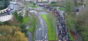 Manifestation contre la déchéance de nationalité et contre l'état d'urgence. - Témoins BFMTV