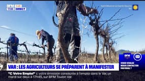 Var: les agriculteurs se préparent à manifester jeudi pour exprimer leur colère