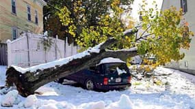 A Worcester, dans le Massachusetts. Plus de trois millions de foyers ont subi des coupures d'électricité, dimanche, dans le nord-est des Etats-Unis balayé par une tempête de neige exceptionnelle pour un mois d'octobre qui a perturbé les transports et fait