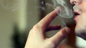 Image d'illustration