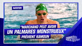 Natation : "Marchand peut avoir un palmarès monstrueux" prévient Kamoun