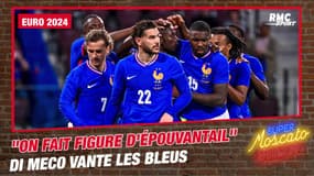 Euro 2024 / Equipe de France : "On fait figure d'épouvantail" rappelle Di Meco