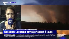 Confrontée elle aussi aux incendies, l'Italie ne peut pas mettre ses Canadair à disposition de la France 