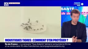 Votre Santé: Prolifération de moustiques tigres en Île-de-France - 19/05