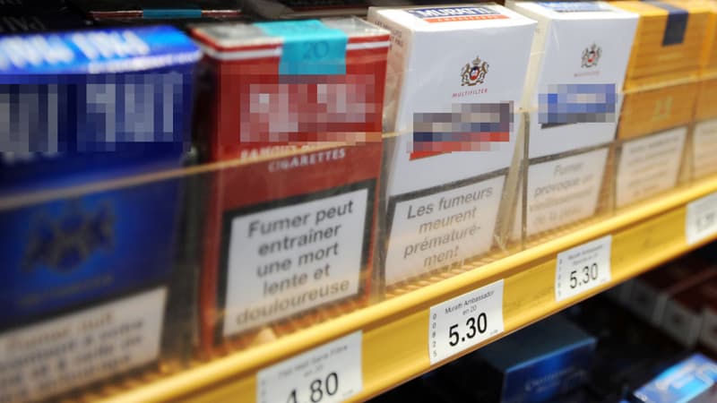 Ces paquets différenciés par leur design, leur couleur et leur logo pourraient bientôt être remplacés par les paquets "neutres".