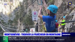 Montgenèvre: ils se rendent en montagne pour trouver un peu de fraîcheur