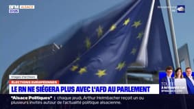 Parlement européen: le RN ne siégera plus avec l'AFD 