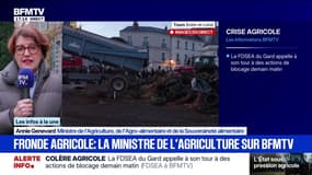 Dermatose nodulaire contagieuse: “Aujourd’hui, nous n’avons plus un seul cas foyer en France", affirme Annie Genevard, ministre de l’Agriculture