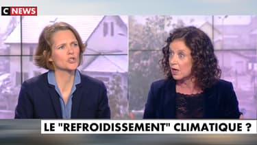 La militante écologiste Claire Nouvian, face à la chroniqueuse Elisabeth Lévy, lundi 6 mai, dans l'émission "L'heure des pros" sur CNews.