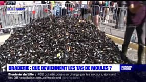 Braderie de Lille: que deviennent les tas de moules?