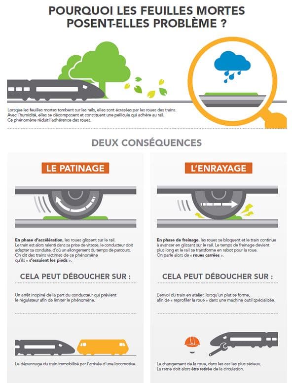 Pourquoi les feuilles mortes posent-elles problème? Pourquoi les feuilles mortes posent-elles problème?