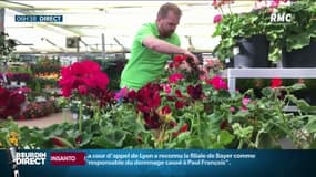 Avec le printemps, les mains vertes investissent les jardineries 