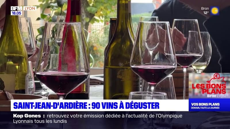 Saint-Jean-d'Ardières: 90 vins à déguster
