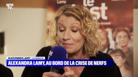 Alexandra Lamy, au bord de la crise de nerfs - 26/12