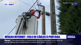Manche: 104 foyers privés de téléphone et d'accès internet après des vols de câbles à Port-Bail