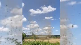  Image du "dust devil" filmée par un témoin le week-end du 8 juillet