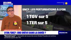 Lyon: une grève dans la durée à la SNCF?