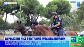 Nice: entraînement de la police municipale dans un centre équestre 