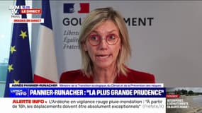 Agnès Pannier-Runacher sur les crues: "Nous faisons face à une situation inédite par son ampleur (…) c'est du jamais-vu"